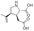 Structural Formula
